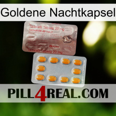 Golden Night Capsule new13